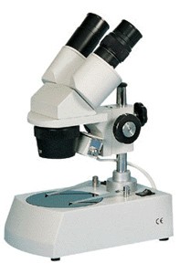 体视显微镜 S-20-2L显微镜